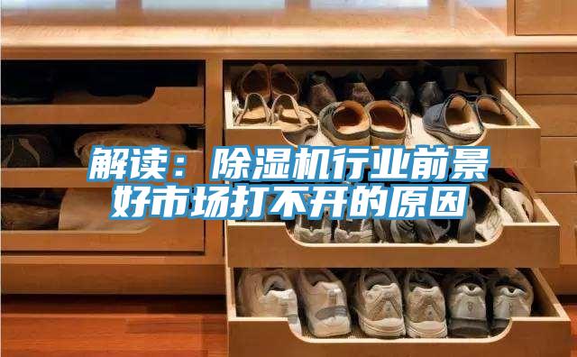 解讀：91看片网站行業前景好市場打不開的原因