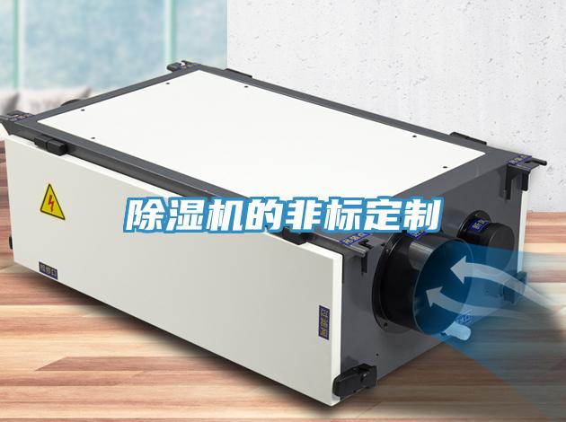 91看片网站的非標定製