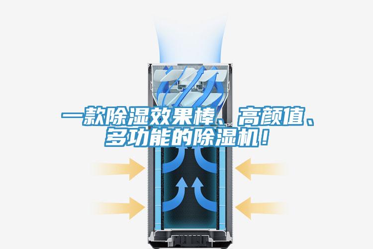 一款除濕效果棒、高顏值、多功能的91看片网站！