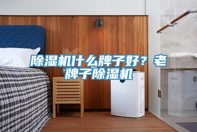 91看片网站什麽牌子好？老牌子91看片网站