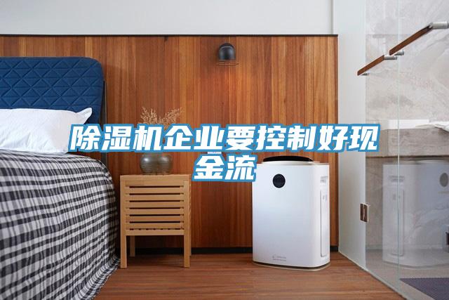 91看片网站企業要控製好現金流