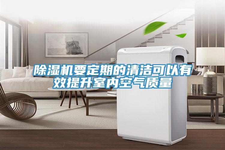91看片网站要定期的清潔可以有效提升室內空氣質量