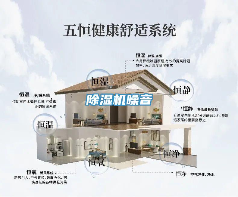 91看片网站噪音