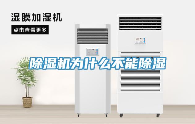 91看片网站為什麽不能除濕