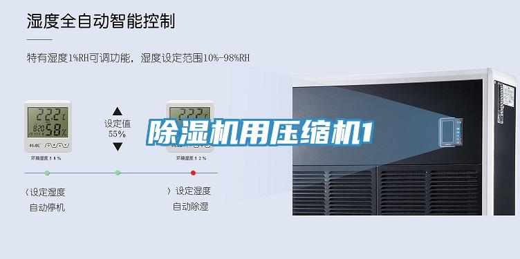 91看片网站用壓縮機1