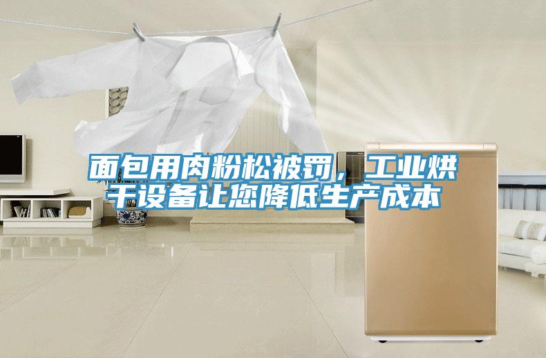 麵包用肉粉鬆被罰，工業烘幹設備讓您降低生產成本