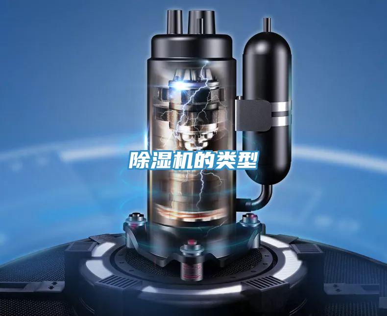 91看片网站的類型