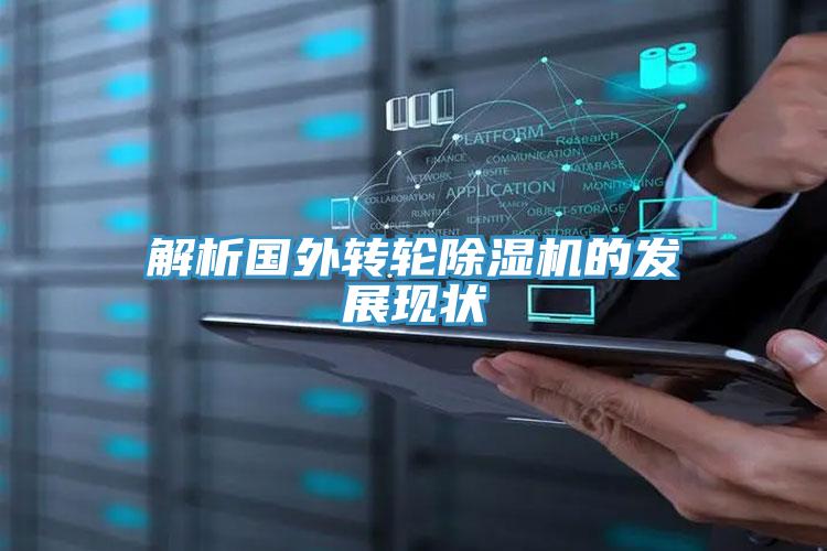 解析國外轉輪91看片网站的發展現狀