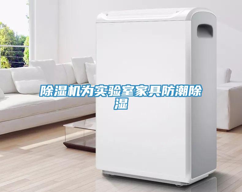 91看片网站為實驗室家具防潮除濕