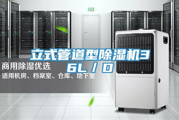 立式管道型91看片网站36L／D