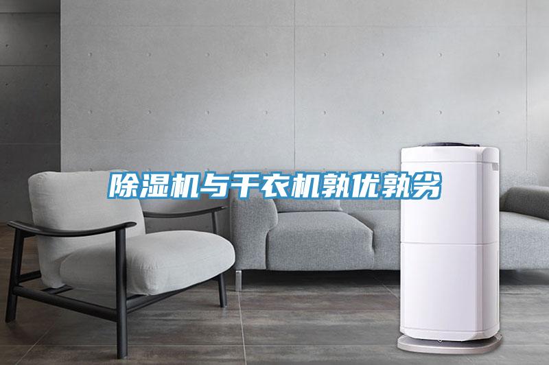 91看片网站與幹衣機孰優孰劣