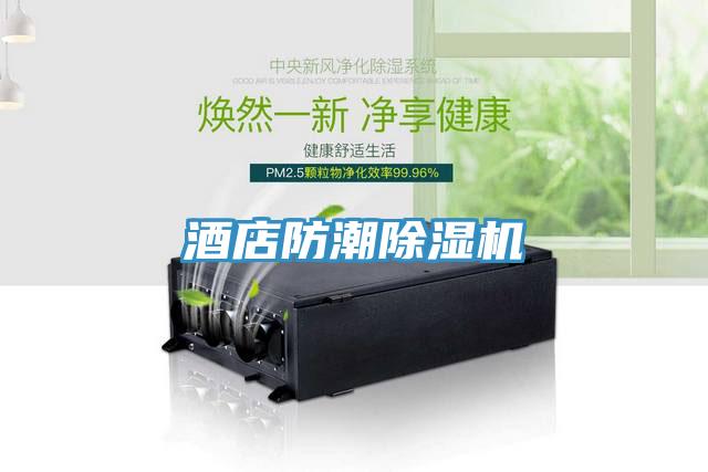 酒店防潮91看片网站