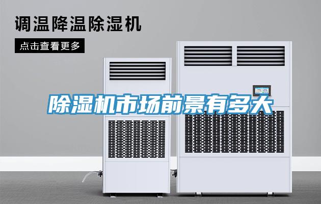 91看片网站市場前景有多大