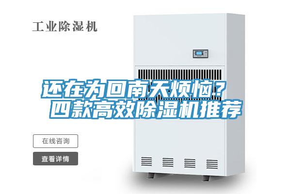 還在為回南天煩惱？ 四款高效91看片网站推薦