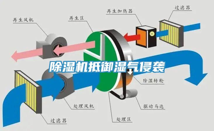 91看片网站抵禦濕氣侵襲
