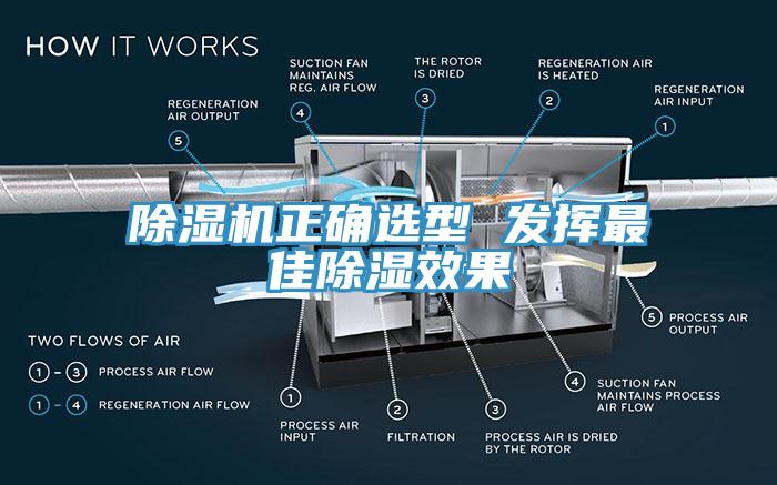 91看片网站正確選型 發揮最佳除濕效果