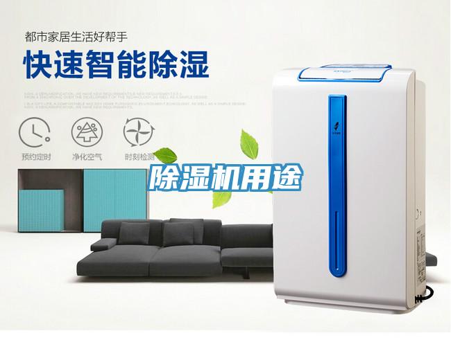 91看片网站用途