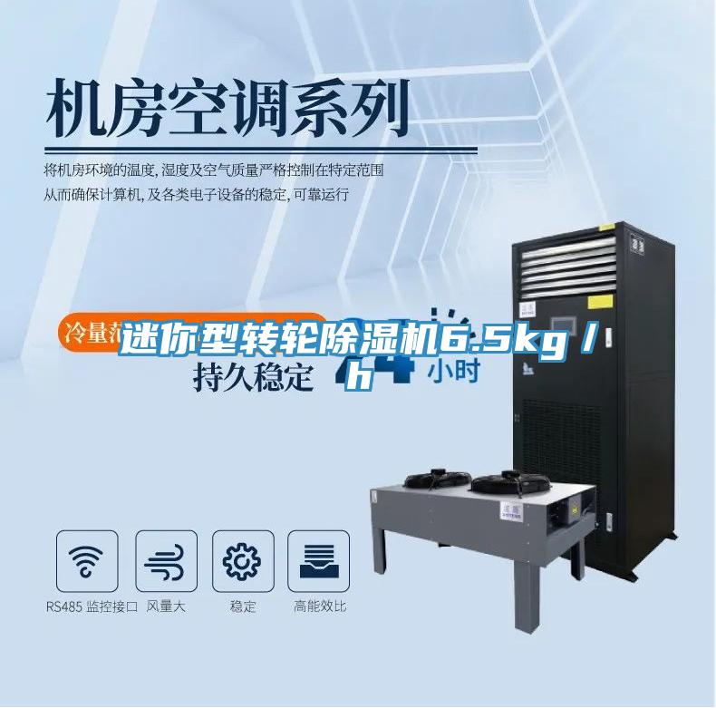 迷你型轉輪91看片网站6.5kg／h