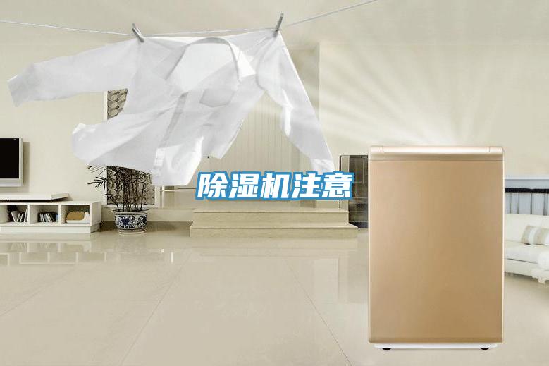 91看片网站注意
