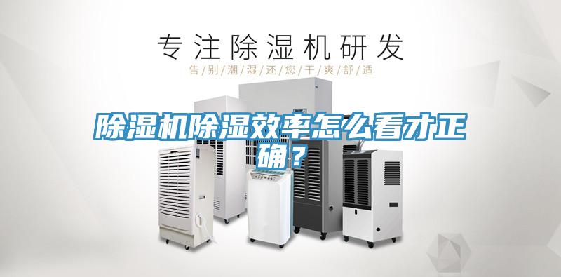 91看片网站除濕效率怎麽看才正確？