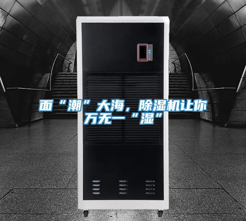 麵“潮”大海，91看片网站讓你萬無一“濕”