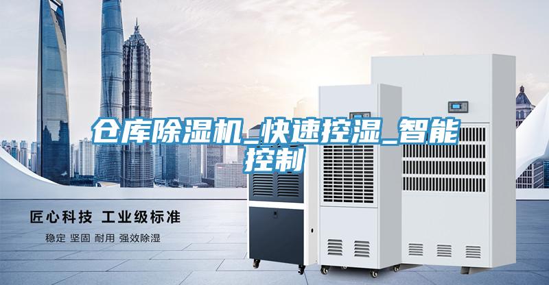 倉庫91看片网站_快速控濕_智能控製