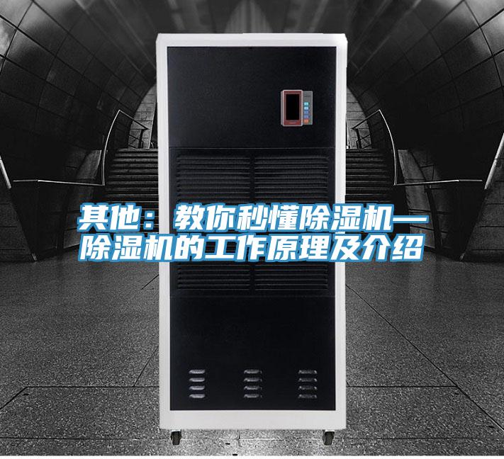 其他：教你秒懂91看片网站—91看片网站的工作原理及介紹