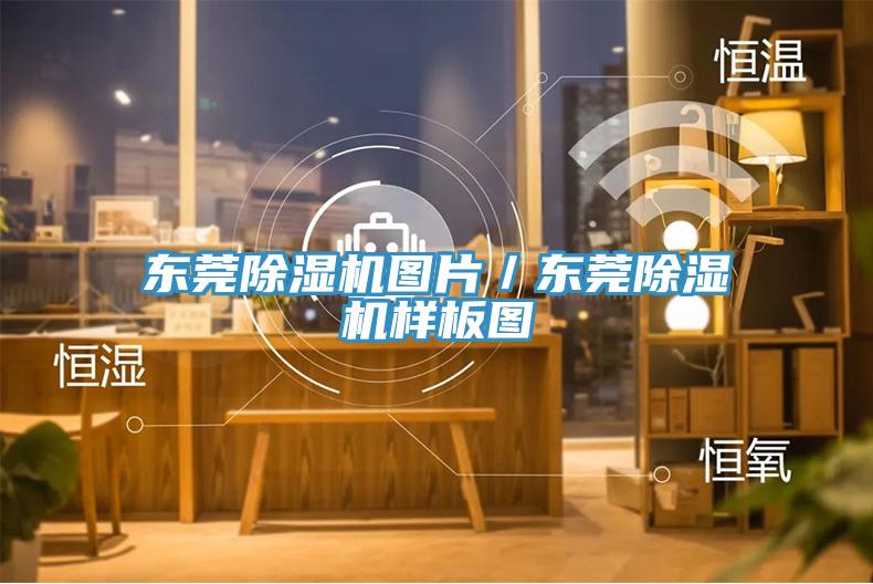東莞91看片网站圖片／東莞91看片网站樣板圖