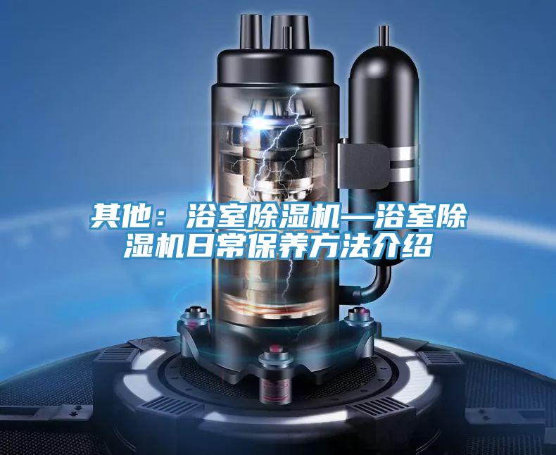 其他：浴室91看片网站—浴室91看片网站日常保養方法介紹