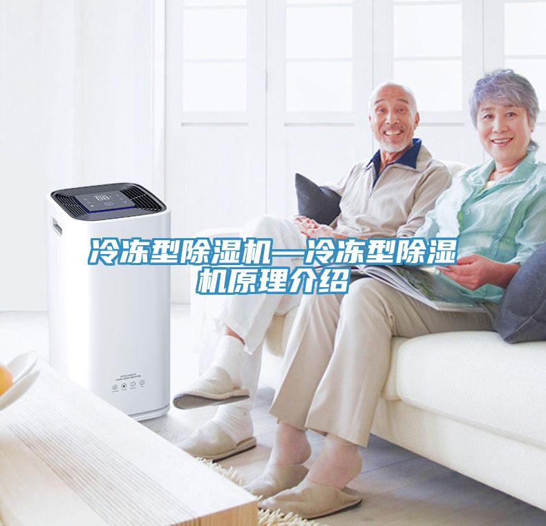 冷凍型91看片网站—冷凍型91看片网站原理介紹