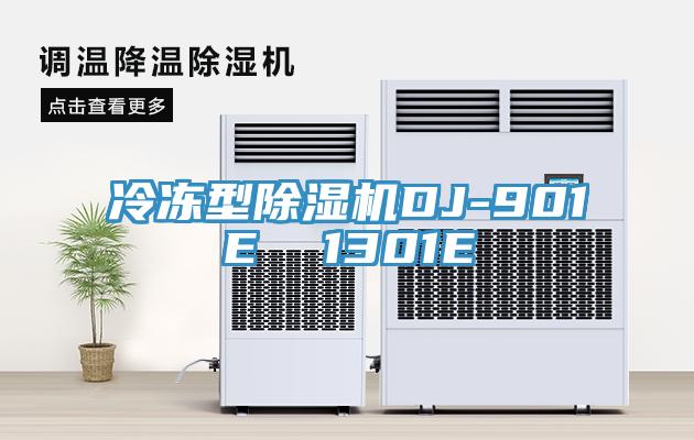 冷凍型91看片网站DJ-901E  1301E
