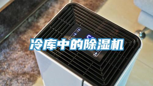 冷庫中的91看片网站