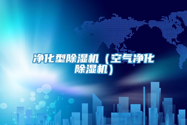淨化型91看片网站（空氣淨化91看片网站）