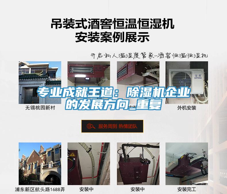 專業成就王道：91看片网站企業的發展方向_重複