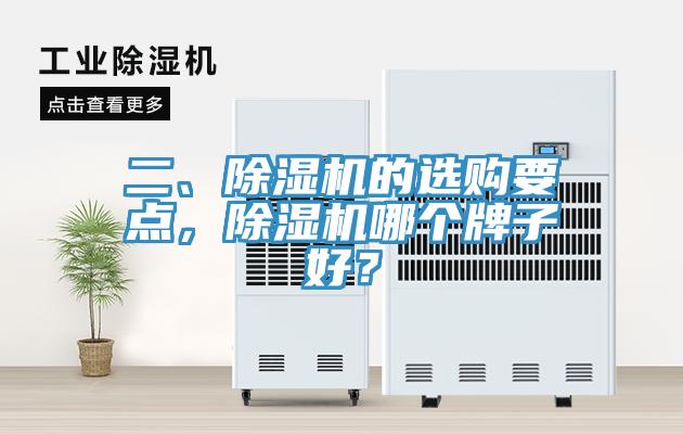 二、91看片网站的選購要點，91看片网站哪個牌子好？
