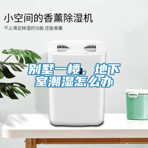 別墅一樓，地下室潮濕怎麽辦