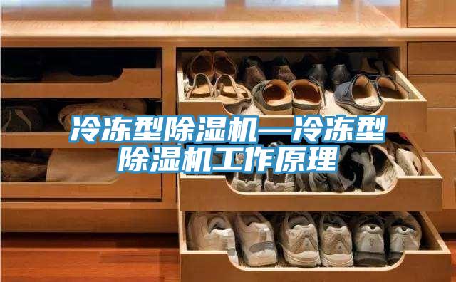 冷凍型91看片网站—冷凍型91看片网站工作原理