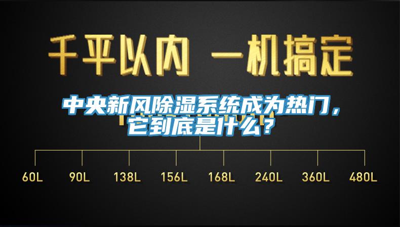 中央新風除濕係統成為熱門，它到底是什麽？