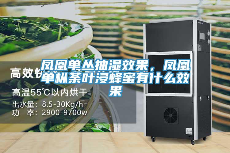 鳳凰單叢抽濕效果，鳳凰單樅荼葉浸蜂蜜有什麽效果