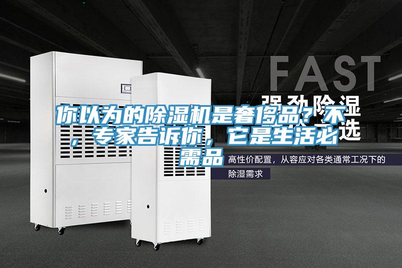 你以為的91看片网站是奢侈品？不，專家告訴你，它是生活必需品