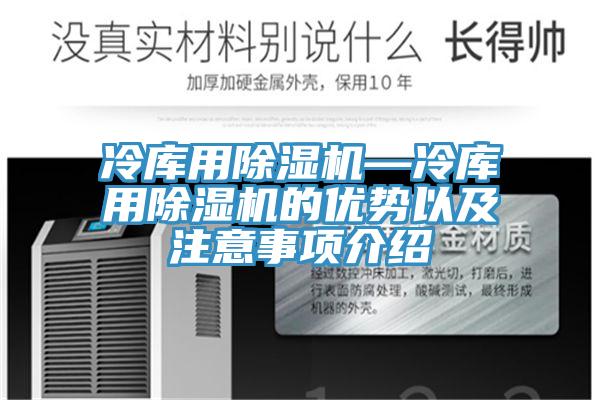冷庫用91看片网站—冷庫用91看片网站的優勢以及注意事項介紹