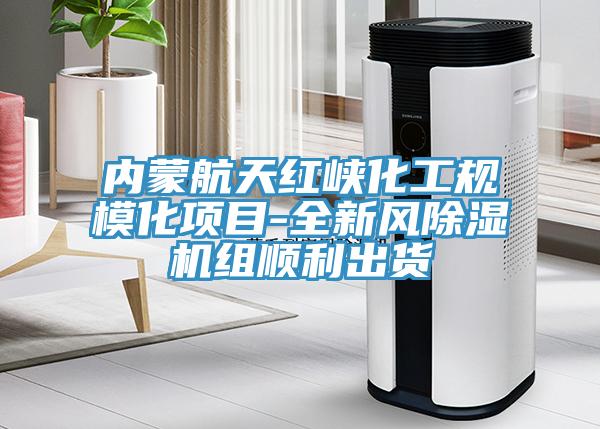 內蒙航天紅峽化工規模化項目-全新風91看片网站組順利出貨