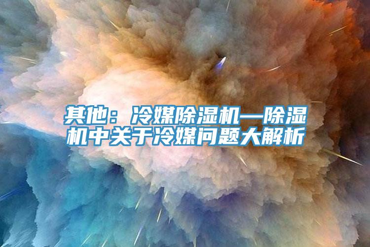 其他：冷媒91看片网站—91看片网站中關於冷媒問題大解析