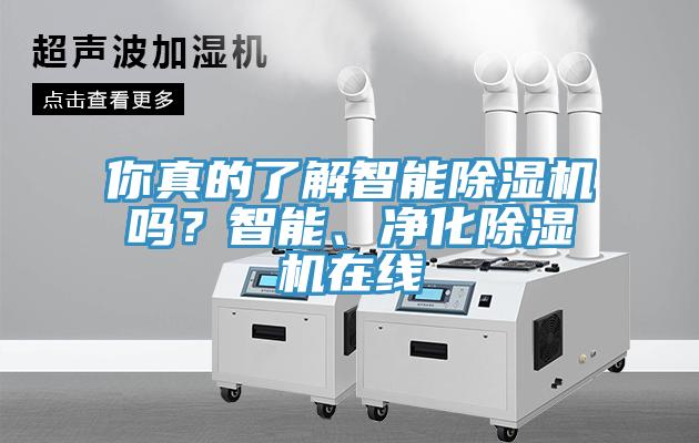 你真的了解智能91看片网站嗎？智能、淨化91看片网站在線