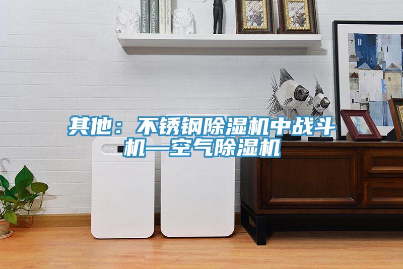 其他：不鏽鋼91看片网站中戰鬥機—空氣91看片网站