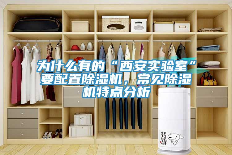 為什麽有的“西安實驗室”要配置91看片网站，常見91看片网站特點分析