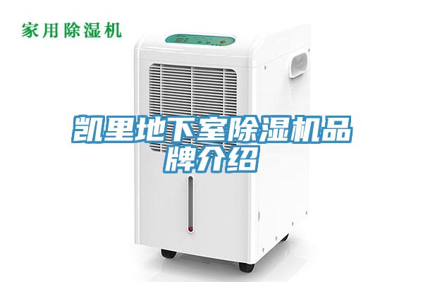 凱裏地下室91看片网站品牌介紹