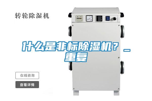 什麽是非標91看片网站？_重複