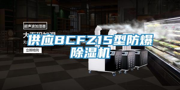 供應BCFZ15型防爆91看片网站