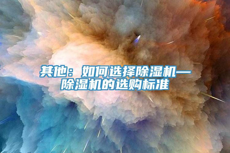 其他：如何選擇91看片网站—91看片网站的選購標準